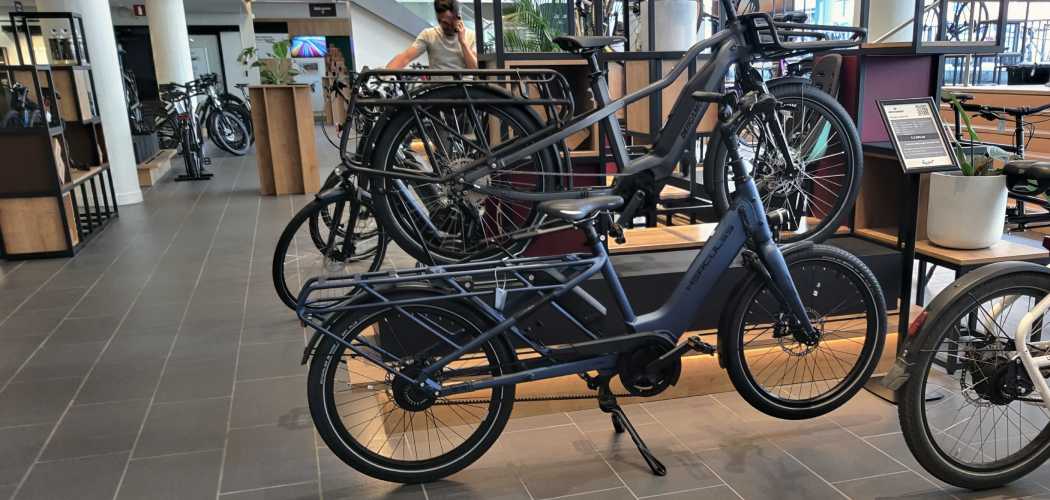 des velo longtail avec moteur dans la roue arriere ou central