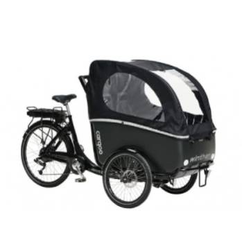 Tricycle à assistance électrique sécurisé pour transporter des enfant