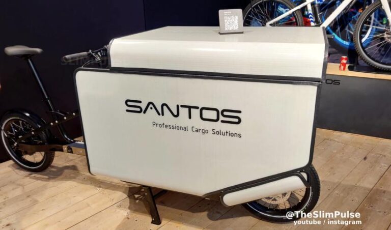 Véhicule électrique léger - Santos cargo avec plateau